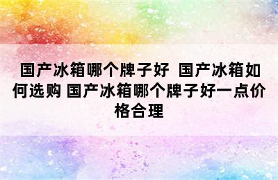 国产冰箱哪个牌子好  国产冰箱如何选购 国产冰箱哪个牌子好一点价格合理